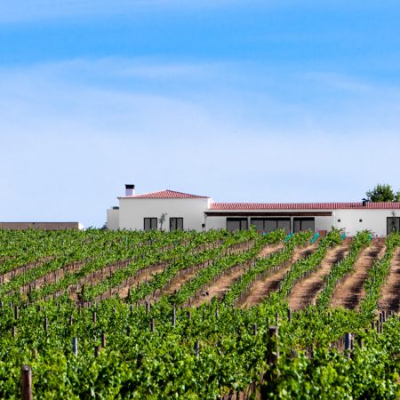 herdade
